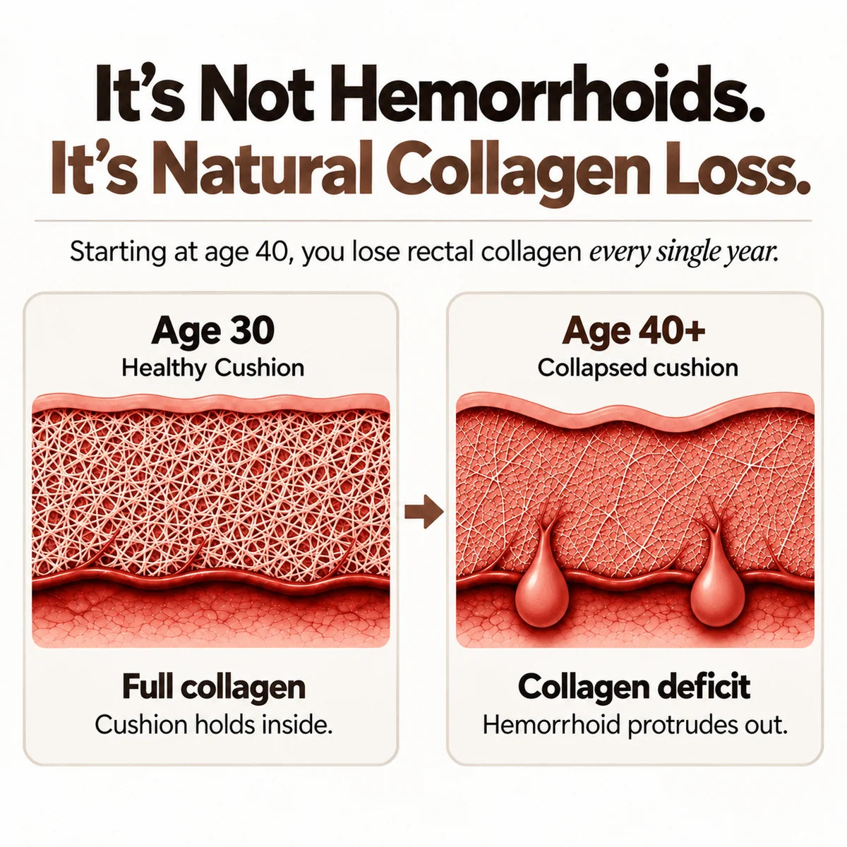 Collagen Cushion Support Capsules