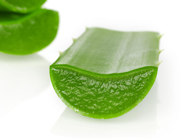 ALOE VERA EXTRACT